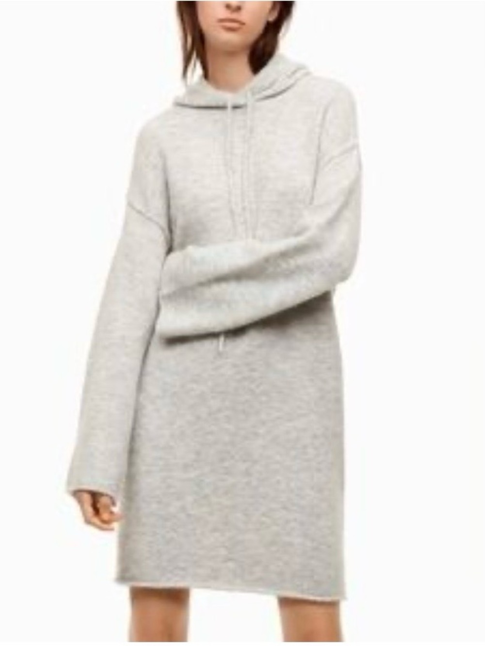 Wilfred Free Cozy Hooded Women's Sweater Dress medium